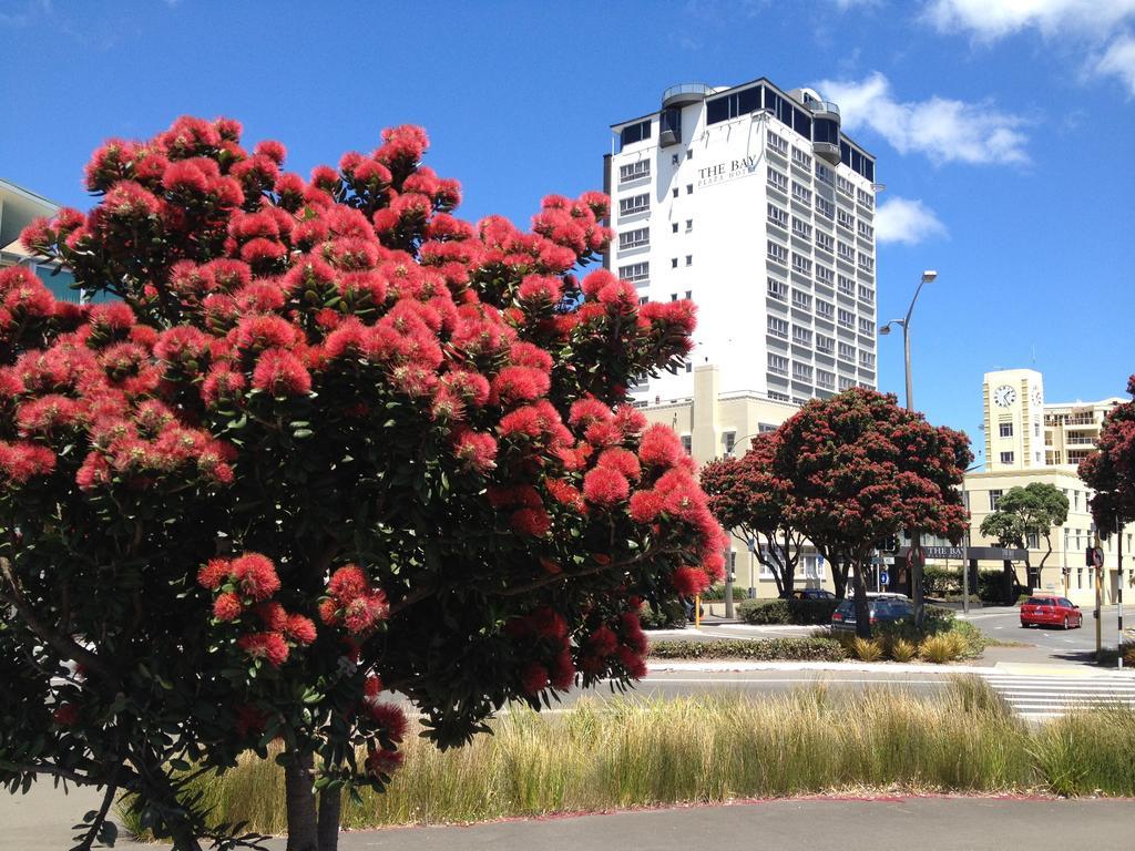 Bay Plaza Hotel Wellington Ngoại thất bức ảnh