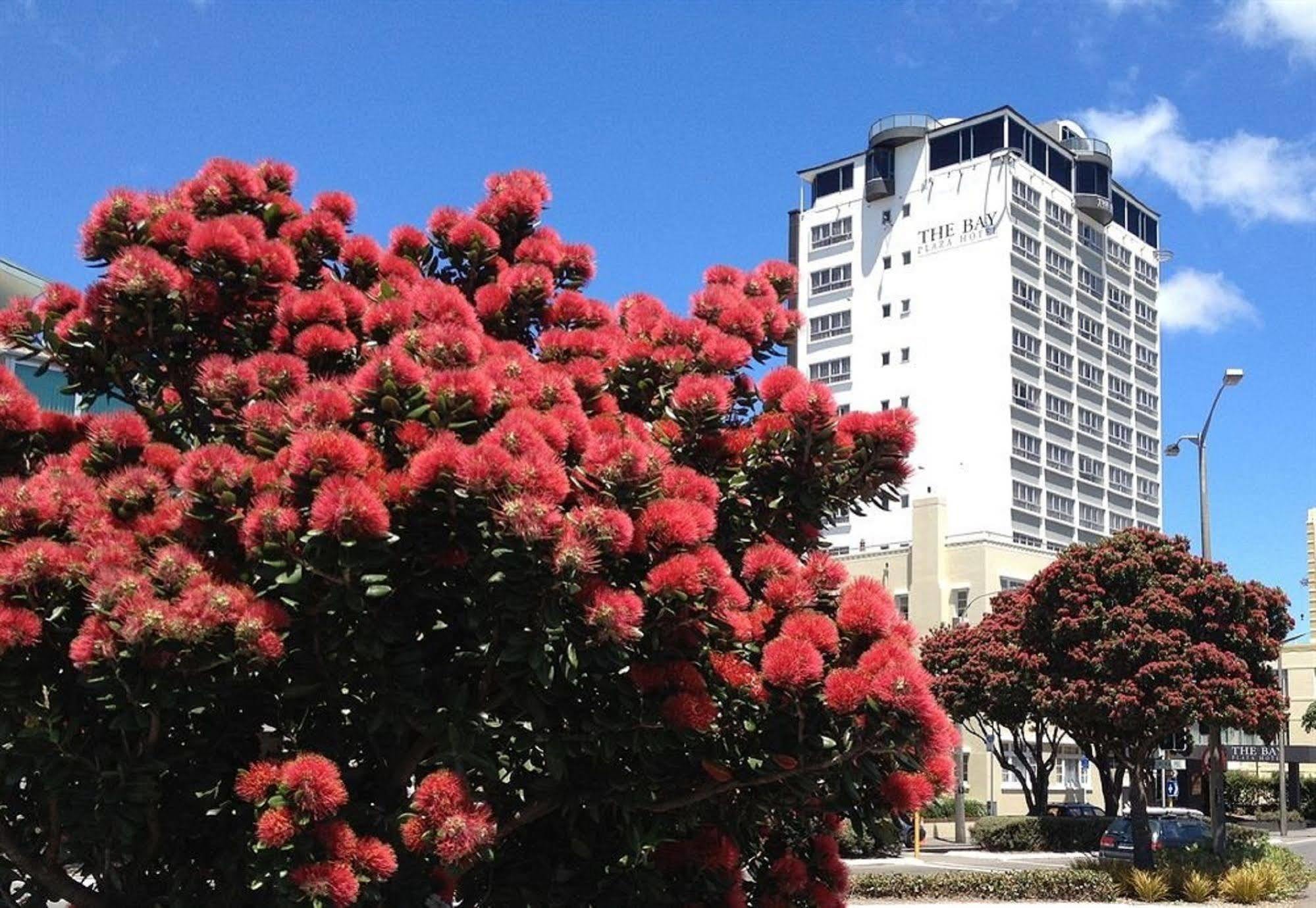 Bay Plaza Hotel Wellington Ngoại thất bức ảnh